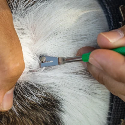TickCheck Premium Tick Remover Kit - Image 6