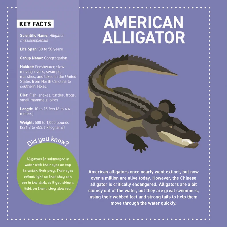 Activity Book - My Sticker Paintings: Reptiles - Image 3