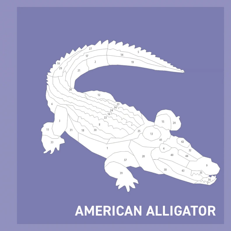 Activity Book - My Sticker Paintings: Reptiles - Image 4