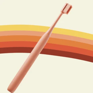 Electric Toothbrush: Happ E-Brush from Happy Tooth